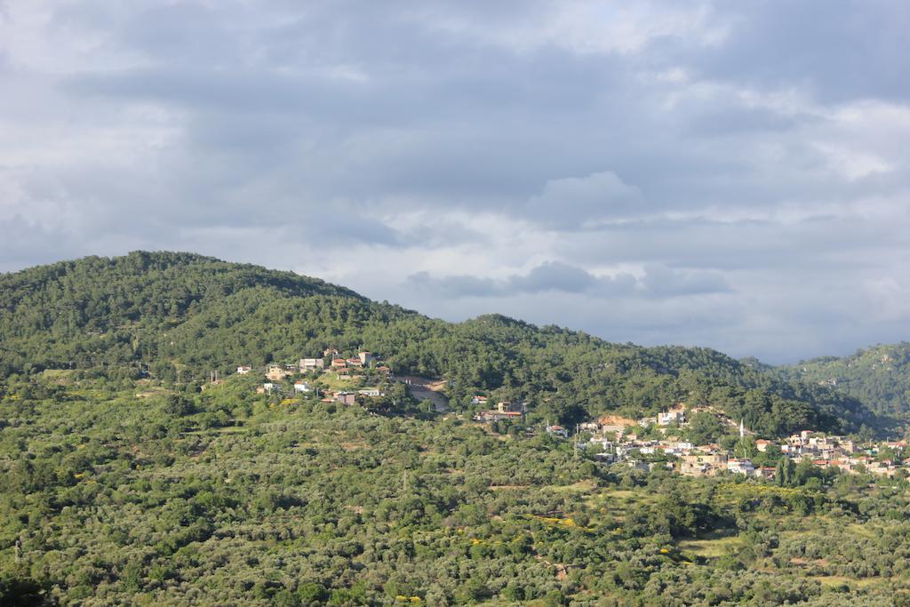 Hotel Assos Kayalar Terrace Sazlı Zewnętrze zdjęcie